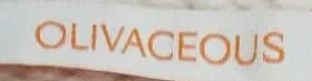 OLIVACEOUS woven brand label